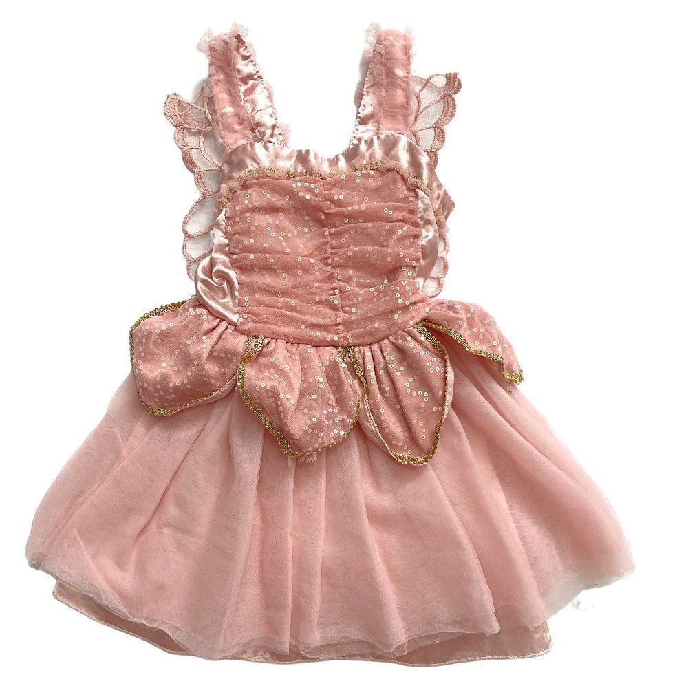 Fairy Dust Pink Butterfly Wing Ballerina Dress
